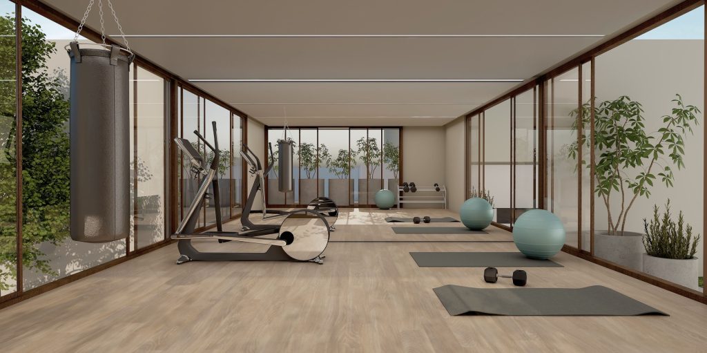 Gimnasio